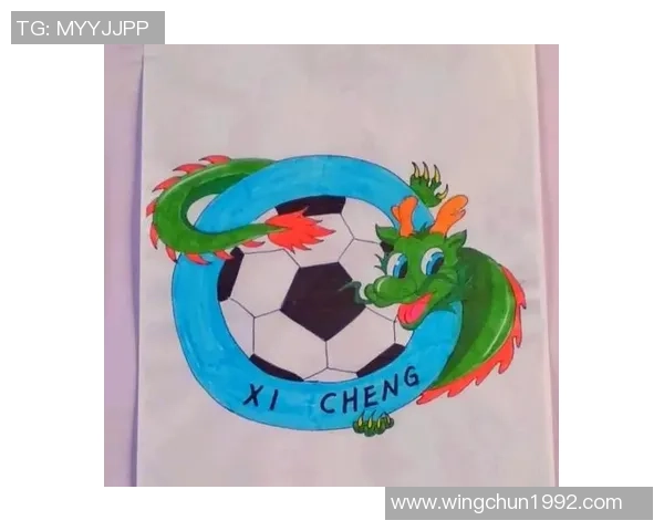 辽宁足球明星队队徽的设计理念与文化内涵探讨