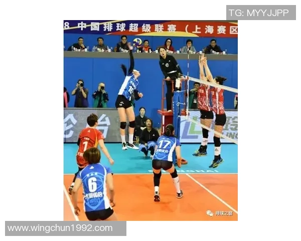 对话陈伟：谈排球生涯